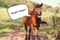 HAY GIRL, HAAAY! MAGNET