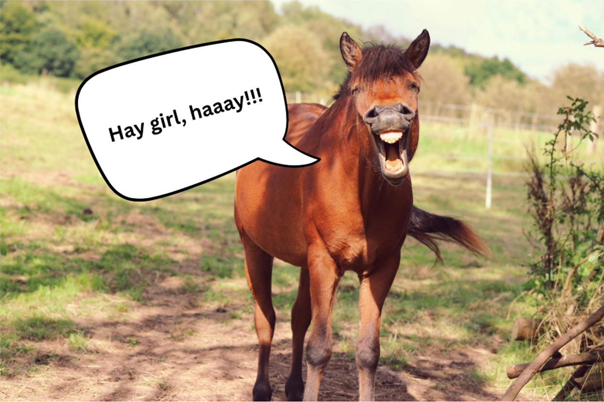 HAY GIRL, HAAAY! MAGNET