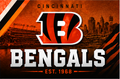 NFL BENGALS