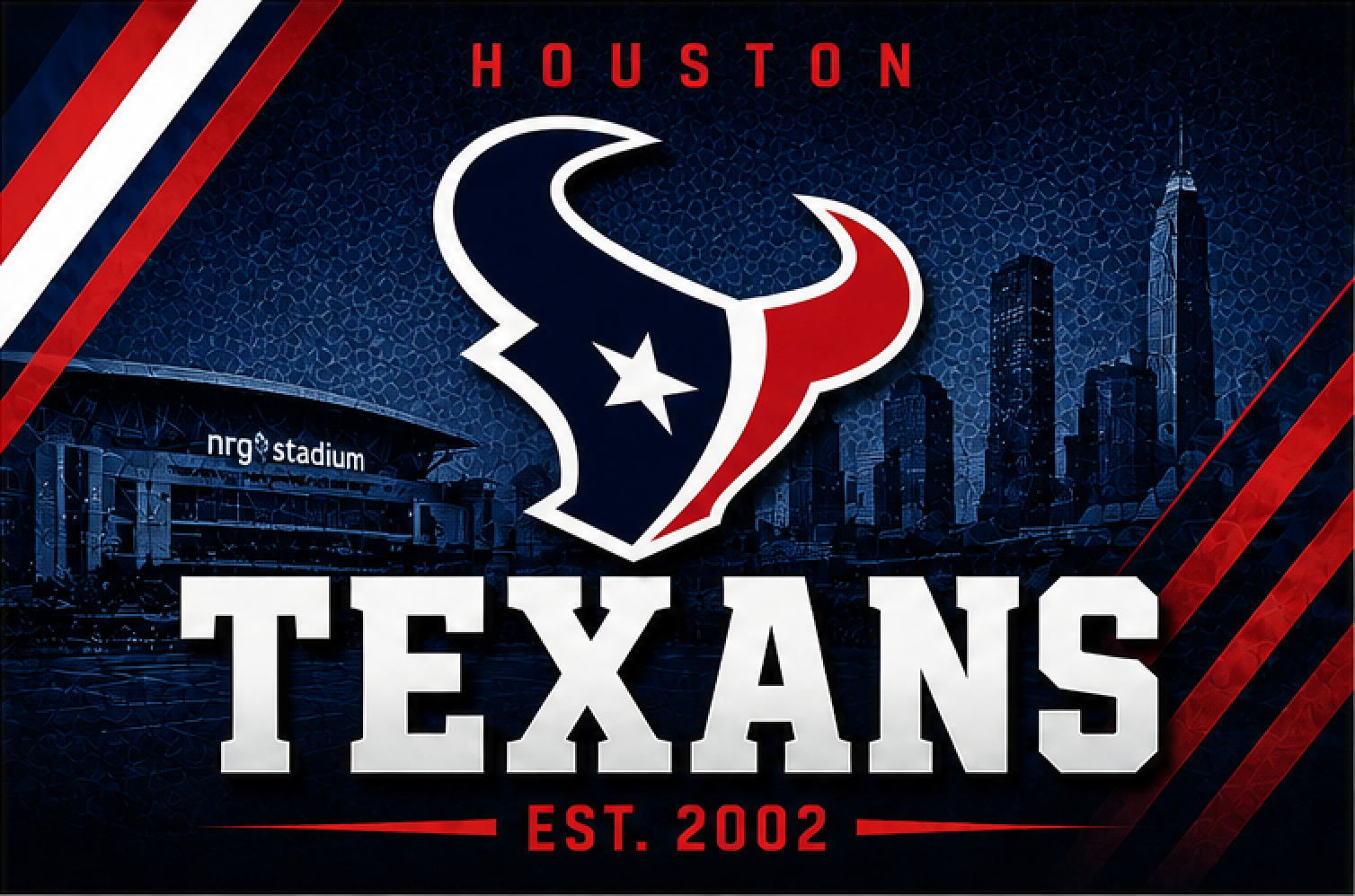 NFL TEXANS