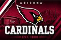 NFL CARDINALS