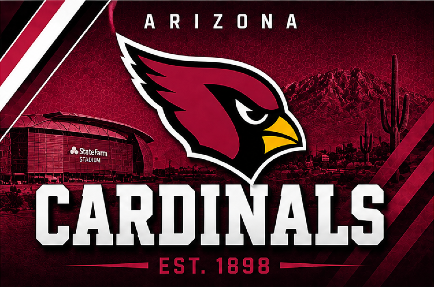 NFL CARDINALS