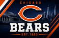 NFL BEARS