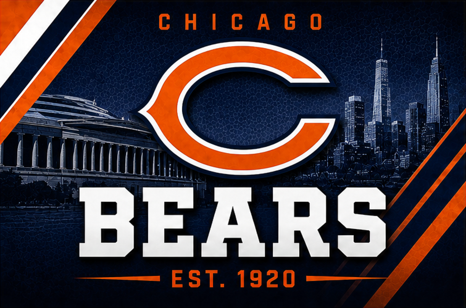 NFL BEARS