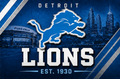 NFL LIONS
