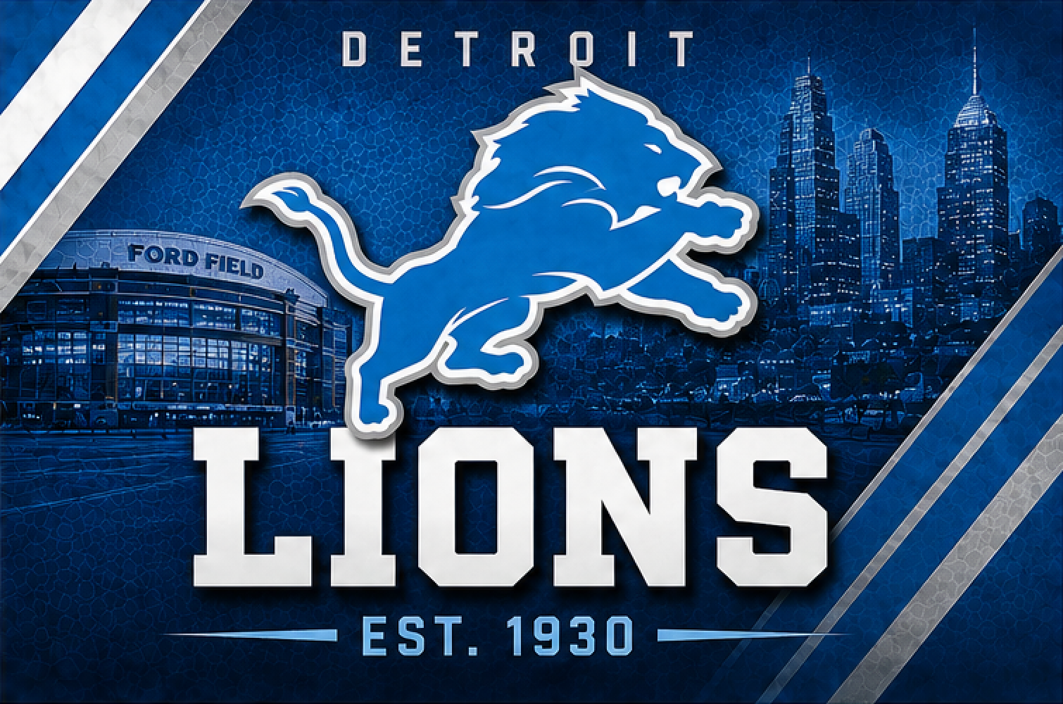 NFL LIONS