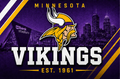 NFL VIKINGS