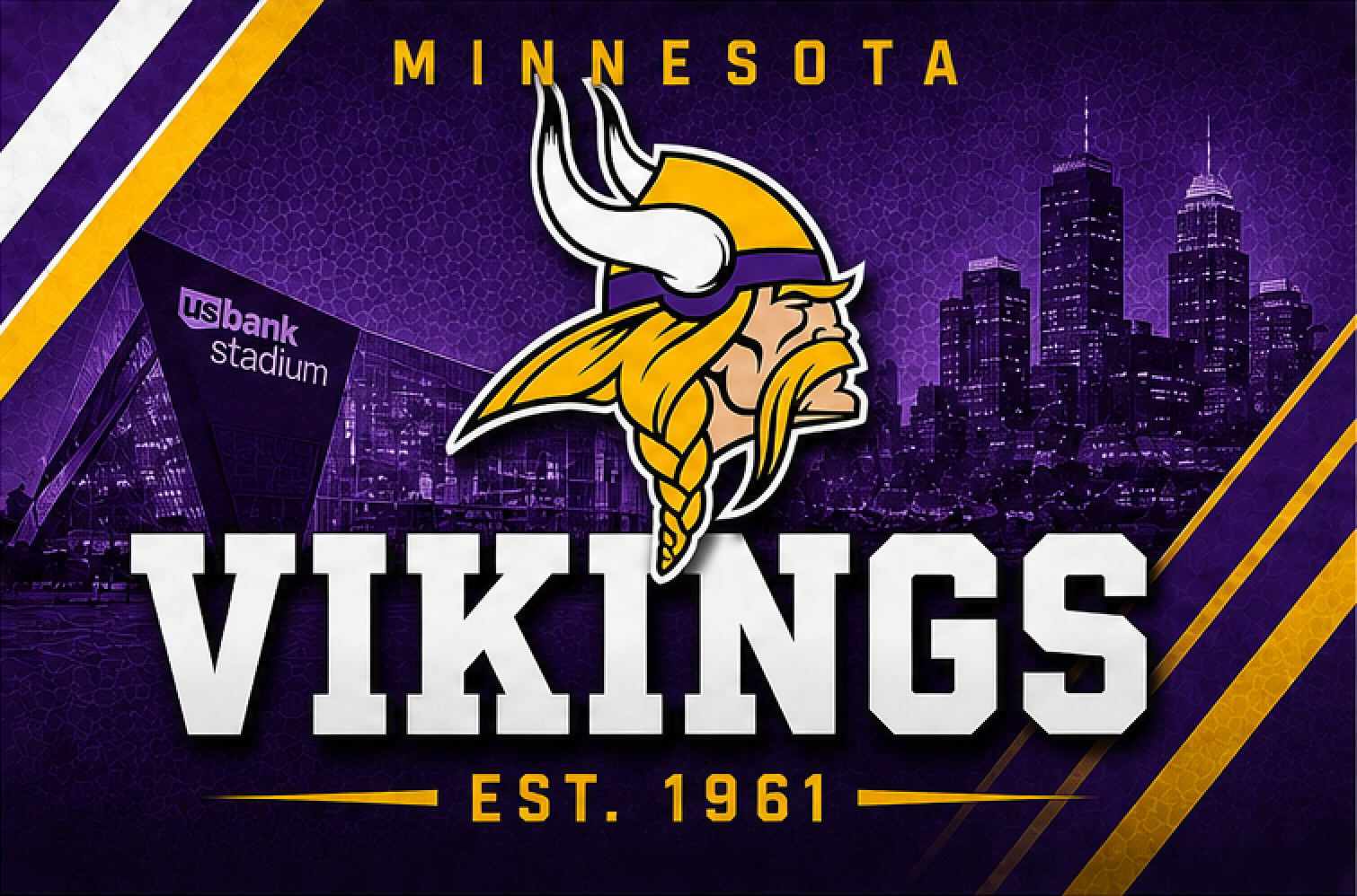NFL VIKINGS