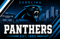 NFL PANTHERS