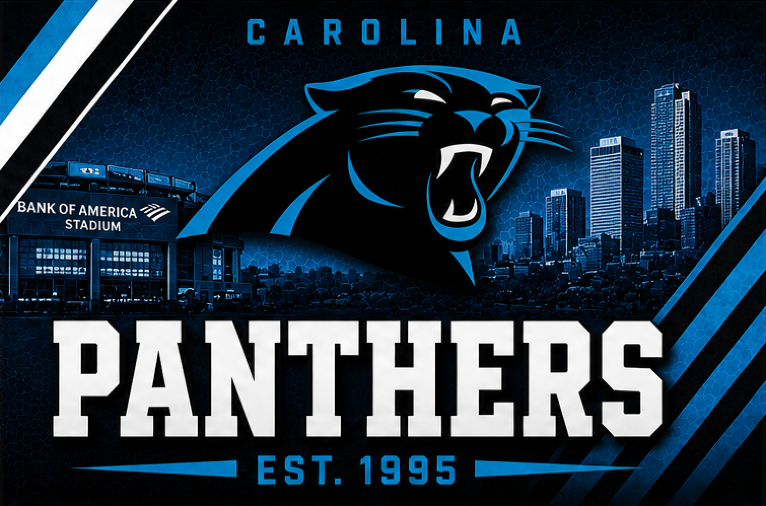 NFL PANTHERS