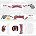 55 CHEVY GASSER (WHITE TONER) DECALS SC GAMECOCKS
